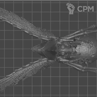 Описание картинки Базовый отряд Plague Drones от WAAAAAAGHshop по цене 1 400руб | Свободный Рынок Миниатюр - СРМ