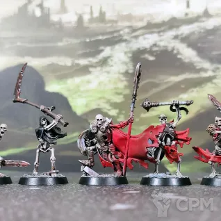 Описание картинки The Sepulchral Guard Могильная Стража от Каджит по цене 4 498руб | Свободный Рынок Миниатюр - СРМ