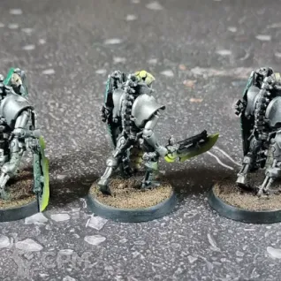 Описание картинки Necrons Lychguard I от Каджит по цене 5 498руб | Свободный Рынок Миниатюр - СРМ