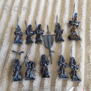 Описание картинки Swordmasters of Hoeth x10 (покрас) от JSmith по цене 1 500руб | Свободный Рынок Миниатюр - СРМ