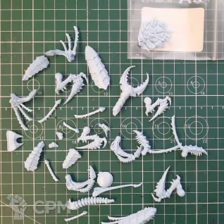 Описание картинки Части от Trygon и TYRANIDS TERMAGANT BROOD от User48512 по цене 300руб | Свободный Рынок Миниатюр - СРМ