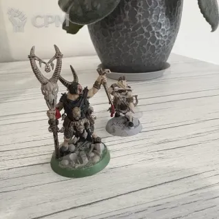 Описание картинки Warhammer underworlds Beastgrave от Mike_nord по цене 6 500руб | Свободный Рынок Миниатюр - СРМ