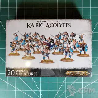 Описание картинки Disciples of Tzeentch Kairic Acolytes от Vault Boy по цене 6 998руб | Свободный Рынок Миниатюр - СРМ