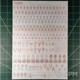 Описание картинки High Elf Realms Transfer Sheet (Декали) от Vault Boy по цене 4 556руб | Свободный Рынок Миниатюр - СРМ