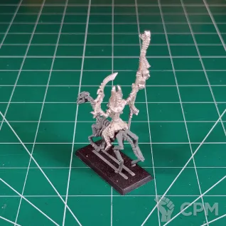 Описание картинки Tomb Kings Liche Priest and Royal Herald от Каджит по цене 8 998руб | Свободный Рынок Миниатюр - СРМ