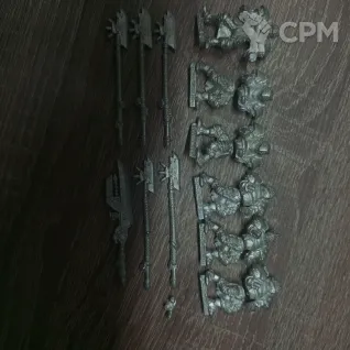 Описание картинки Cygnar stormguard от  по цене 2 300руб | Свободный Рынок Миниатюр - СРМ