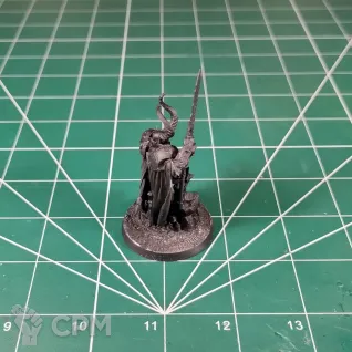 Описание картинки Slaves to Darkness Chaos Lord (Champion of Chaos) от Каджит по цене 2 498руб | Свободный Рынок Миниатюр - СРМ