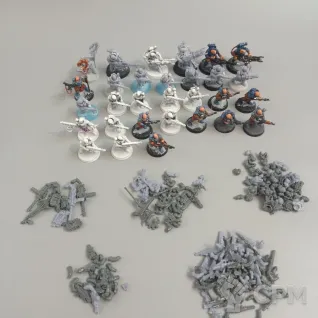 Описание картинки Neophyte hybrids 30 штук от Fridericus по цене 4 950руб | Свободный Рынок Миниатюр - СРМ