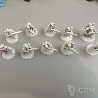 Описание картинки Neophyte hybrids 30 штук от Fridericus по цене 4 400руб | Свободный Рынок Миниатюр - СРМ