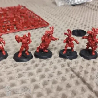 Описание картинки Imperial Nobility Bloodbowl Team / Команда Имперской Знати для Бладбоул 16 моделей от Zlobniy_Goblin по цене 3 500руб | Свободный Рынок Миниатюр - СРМ