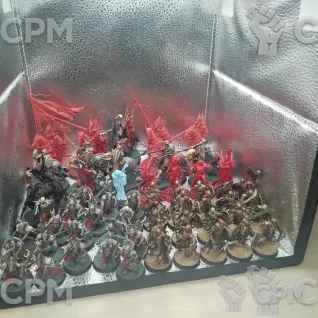 Описание картинки Армия Soulblight Gravelords (Ориг), СПБ от Owlsson по цене 14 000руб | Свободный Рынок Миниатюр - СРМ