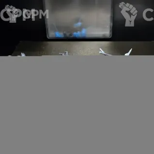Описание картинки Отряд orcs warbiker mob от ЧерныйМОХ по цене 700руб | Свободный Рынок Миниатюр - СРМ