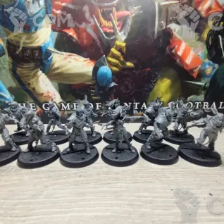 Описание картинки Dark Elf Blood Bowl Team – Naggaroth Nightmares от JacDr по цене 4 000руб | Свободный Рынок Миниатюр - СРМ