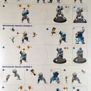 Описание картинки Bretonnian Blood Bowl Team The Brionne Barons от Vault Boy по цене 4 398руб | Свободный Рынок Миниатюр - СРМ
