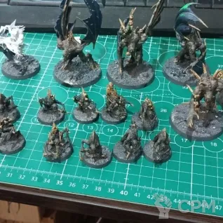 Описание картинки Армия Flesh-Eater Courts от Kolifeser по цене 11 500руб | Свободный Рынок Миниатюр - СРМ