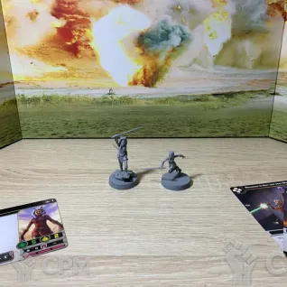 Описание картинки Asoka от Veteran Pand по цене 2 500руб | Свободный Рынок Миниатюр - СРМ