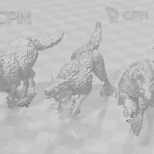 Описание картинки Wolf Guard Headtakers от Laboratory of Chaos по цене 450руб | Свободный Рынок Миниатюр - СРМ