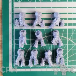 Описание картинки CSM Raptors Bodies v1 от Стальные Небеса по цене 850руб | Свободный Рынок Миниатюр - СРМ