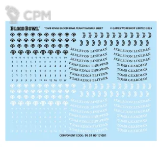 Описание картинки Tomb Kings Team Transfer Sheet (Декали) от Vault Boy по цене 1 298руб | Свободный Рынок Миниатюр - СРМ