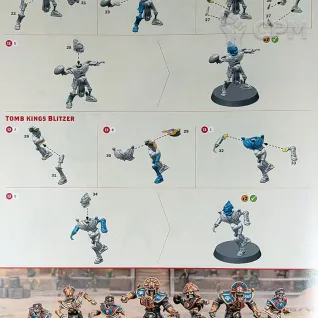 Описание картинки Tomb Kings Blood Bowl Team The Nehekhara Nightmares от Vault Boy по цене 4 398руб | Свободный Рынок Миниатюр - СРМ