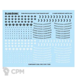 Описание картинки Bretonnian Team Transfer Sheet (Декали) от Vault Boy по цене 998руб | Свободный Рынок Миниатюр - СРМ