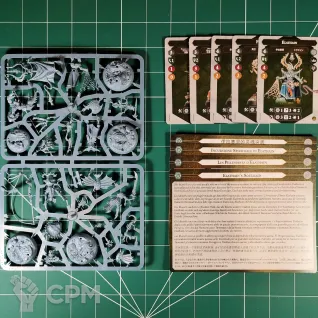 Описание картинки Elathain's Soulraid от Vault Boy по цене 3 498руб | Свободный Рынок Миниатюр - СРМ