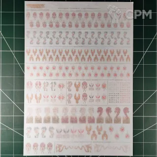 Описание картинки High Elf Realms Transfer Sheet (Декали) от Vault Boy по цене 4 798руб | Свободный Рынок Миниатюр - СРМ