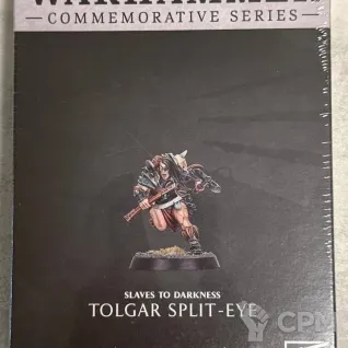 Описание картинки Spearhead: Darkoath Riders + Tolgar Split-Eye от ABersenev по цене 17 000руб | Свободный Рынок Миниатюр - СРМ