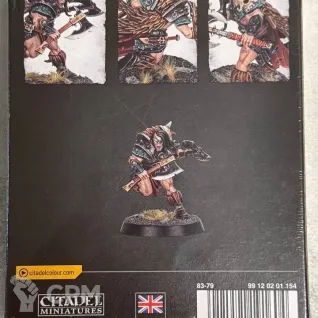Описание картинки Spearhead: Darkoath Riders + Tolgar Split-Eye от ABersenev по цене 17 000руб | Свободный Рынок Миниатюр - СРМ