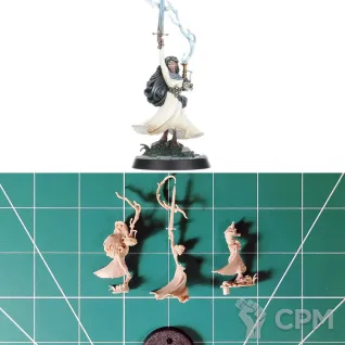 Описание картинки Warhammer Quest Darkwater Hero Inara Sion от Vault Boy по цене 1 498руб | Свободный Рынок Миниатюр - СРМ