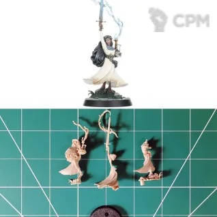 Описание картинки Warhammer Quest Darkwater Hero Inara Sion от Vault Boy по цене 1 498руб | Свободный Рынок Миниатюр - СРМ