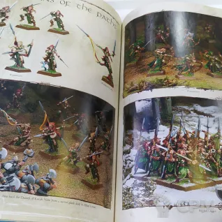 Описание картинки Wood Elves Army Book 7th Edition (eng) от Terran по цене 3 000руб | Свободный Рынок Миниатюр - СРМ