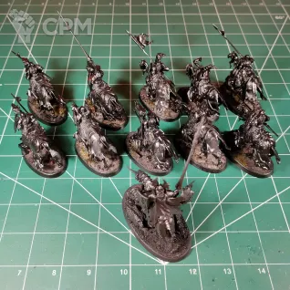 Описание картинки Soulblight Gravelords Wight King and Black Knights/Barrow Knights x10 от Каджит по цене 13 998руб | Свободный Рынок Миниатюр - СРМ