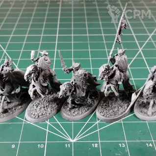 Описание картинки Soulblight Gravelords Barrow Knights (Black Knights) от Каджит по цене 4 498руб | Свободный Рынок Миниатюр - СРМ