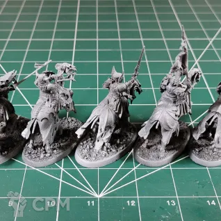 Описание картинки Soulblight Gravelords Barrow Knights (Black Knights) от Каджит по цене 4 498руб | Свободный Рынок Миниатюр - СРМ