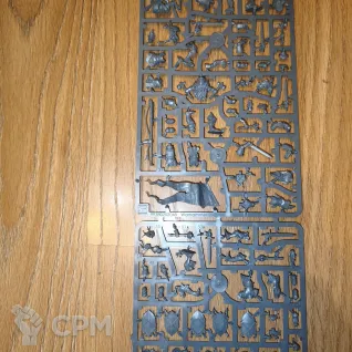 Описание картинки Freeguild Gallants (x5), CITY OF ASH от GLOM по цене 5 000руб | Свободный Рынок Миниатюр - СРМ