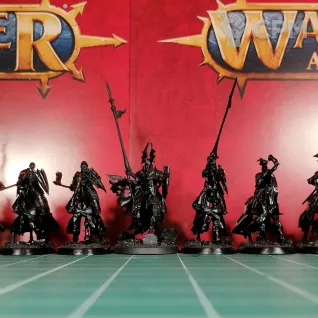 Описание картинки Soulblight Gravelords Wight King and Black Knights/Barrow Knights x10 от Каджит по цене 13 998руб | Свободный Рынок Миниатюр - СРМ