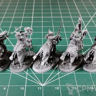 Описание картинки Soulblight Gravelords Barrow Knights (Black Knights) от Каджит по цене 4 498руб | Свободный Рынок Миниатюр - СРМ