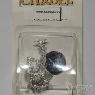 Описание картинки Primaris Psyker от thymeQ по цене 2 000руб | Свободный Рынок Миниатюр - СРМ