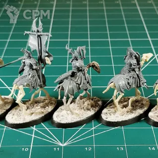 Описание картинки Soulblight Gravelords Barrow Knights (Black Knights) I от Каджит по цене 2 998руб | Свободный Рынок Миниатюр - СРМ