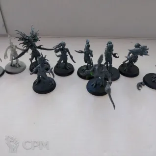 Описание картинки 10 Daemonettes от Darnaks по цене 3 200руб | Свободный Рынок Миниатюр - СРМ