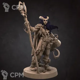 Описание картинки Тифлинг, Волшебница (Tiefling, Sorceress) от Gabrigame_Print по цене 330руб | Свободный Рынок Миниатюр - СРМ