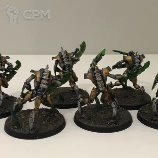 Описание картинки Армия Necrons Нигиллах от Loyalist по цене 30 000руб | Свободный Рынок Миниатюр - СРМ
