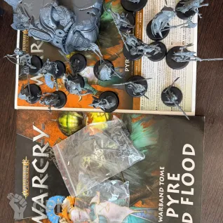 Описание картинки Warhammer AoS Warcry - Pyre and Flood от Kafarova97 по цене 8 500руб | Свободный Рынок Миниатюр - СРМ