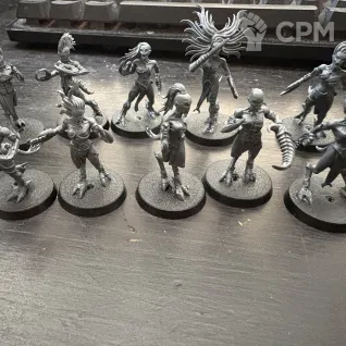 Описание картинки Daemonettes of Slaanesh от User25534 по цене 1 900руб | Свободный Рынок Миниатюр - СРМ