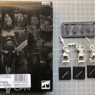 Описание картинки 3 Bretonnian Men-At-Arms with Halberds от Old Metal Collector по цене 3 400руб | Свободный Рынок Миниатюр - СРМ