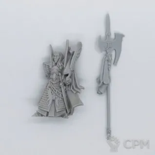 Описание картинки High Elf Phoenix Guard Caradryan от Saudad по цене 300руб | Свободный Рынок Миниатюр - СРМ