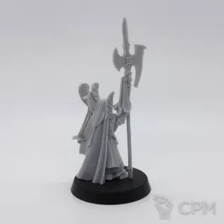 Описание картинки High Elf Phoenix Guard Caradryan от Saudad по цене 300руб | Свободный Рынок Миниатюр - СРМ