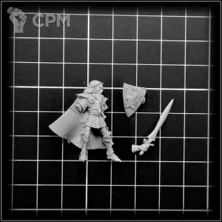 Описание картинки Selafyn (Limited Promo 1996) от OldHammer Мастерская по цене 350руб | Свободный Рынок Миниатюр - СРМ
