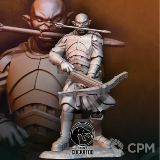 Описание картинки Vraskû alt от Studio Cockatoo по цене 150руб | Свободный Рынок Миниатюр - СРМ